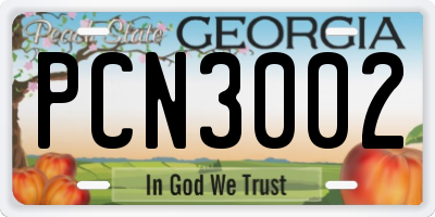 GA license plate PCN3002