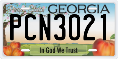 GA license plate PCN3021