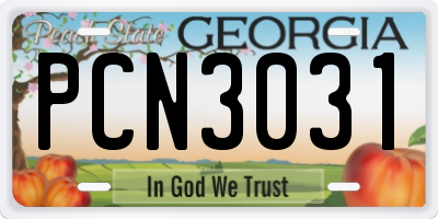 GA license plate PCN3031
