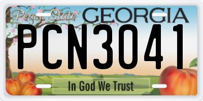 GA license plate PCN3041