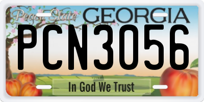 GA license plate PCN3056