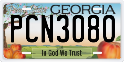 GA license plate PCN3080