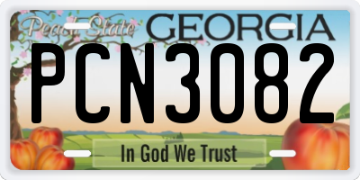 GA license plate PCN3082
