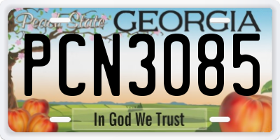GA license plate PCN3085