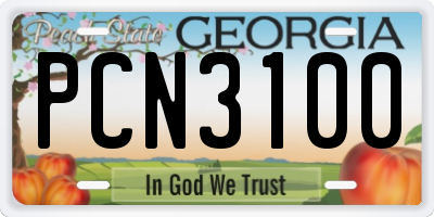GA license plate PCN3100