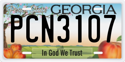 GA license plate PCN3107