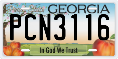 GA license plate PCN3116