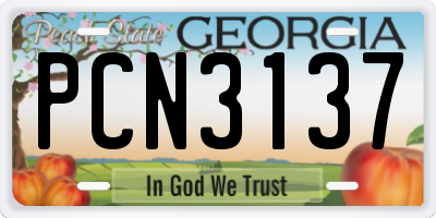 GA license plate PCN3137