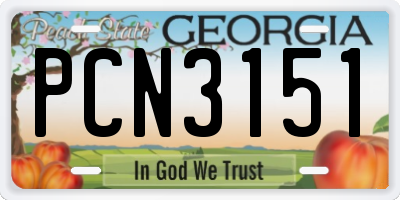 GA license plate PCN3151