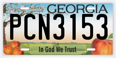 GA license plate PCN3153