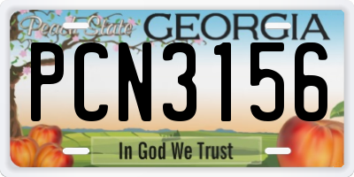 GA license plate PCN3156