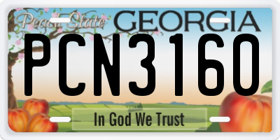 GA license plate PCN3160