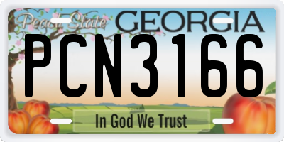 GA license plate PCN3166