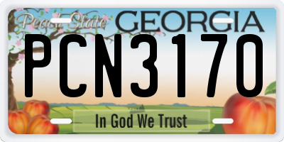 GA license plate PCN3170