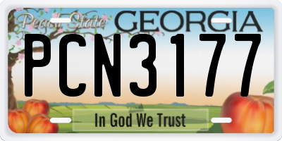 GA license plate PCN3177
