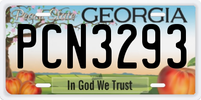 GA license plate PCN3293