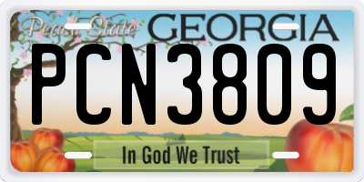 GA license plate PCN3809