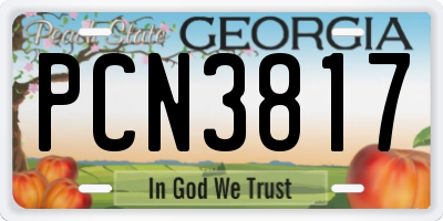 GA license plate PCN3817