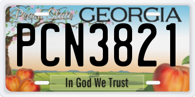 GA license plate PCN3821