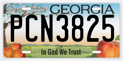 GA license plate PCN3825