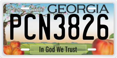 GA license plate PCN3826