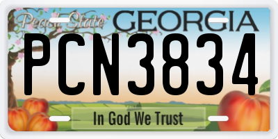 GA license plate PCN3834