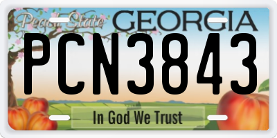GA license plate PCN3843