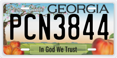GA license plate PCN3844