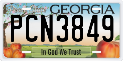 GA license plate PCN3849