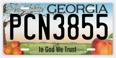 GA license plate PCN3855