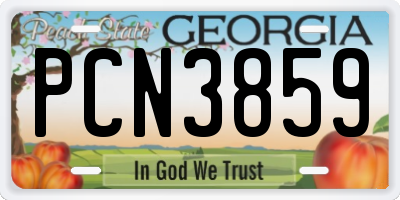 GA license plate PCN3859