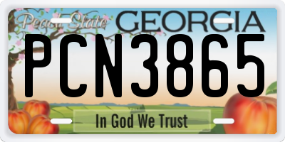 GA license plate PCN3865