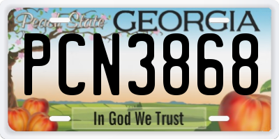 GA license plate PCN3868