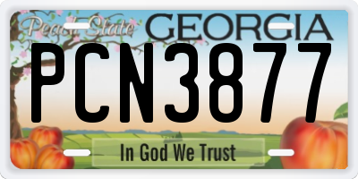 GA license plate PCN3877