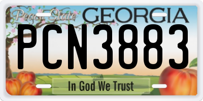 GA license plate PCN3883