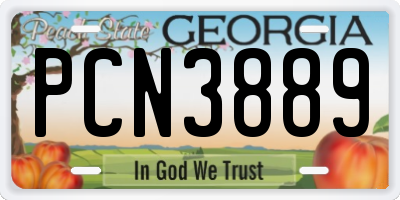 GA license plate PCN3889