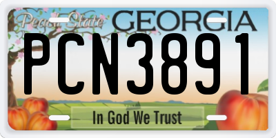 GA license plate PCN3891