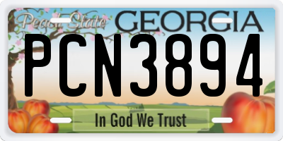 GA license plate PCN3894