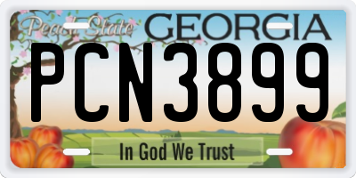 GA license plate PCN3899