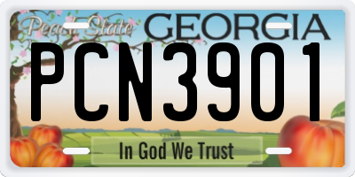 GA license plate PCN3901