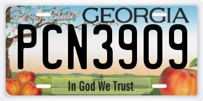 GA license plate PCN3909