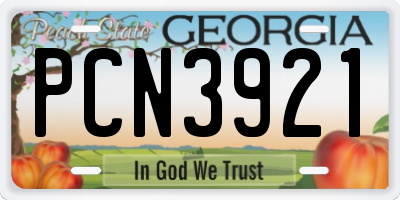 GA license plate PCN3921