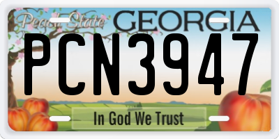 GA license plate PCN3947