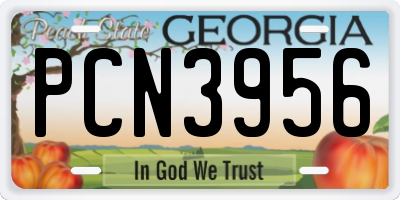 GA license plate PCN3956