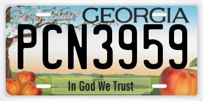 GA license plate PCN3959