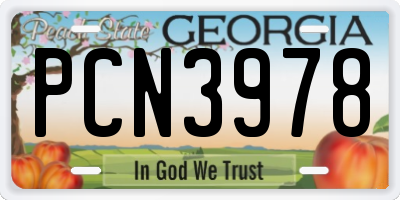 GA license plate PCN3978