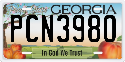 GA license plate PCN3980
