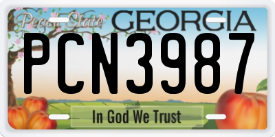 GA license plate PCN3987