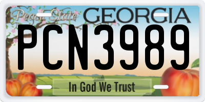 GA license plate PCN3989