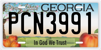 GA license plate PCN3991